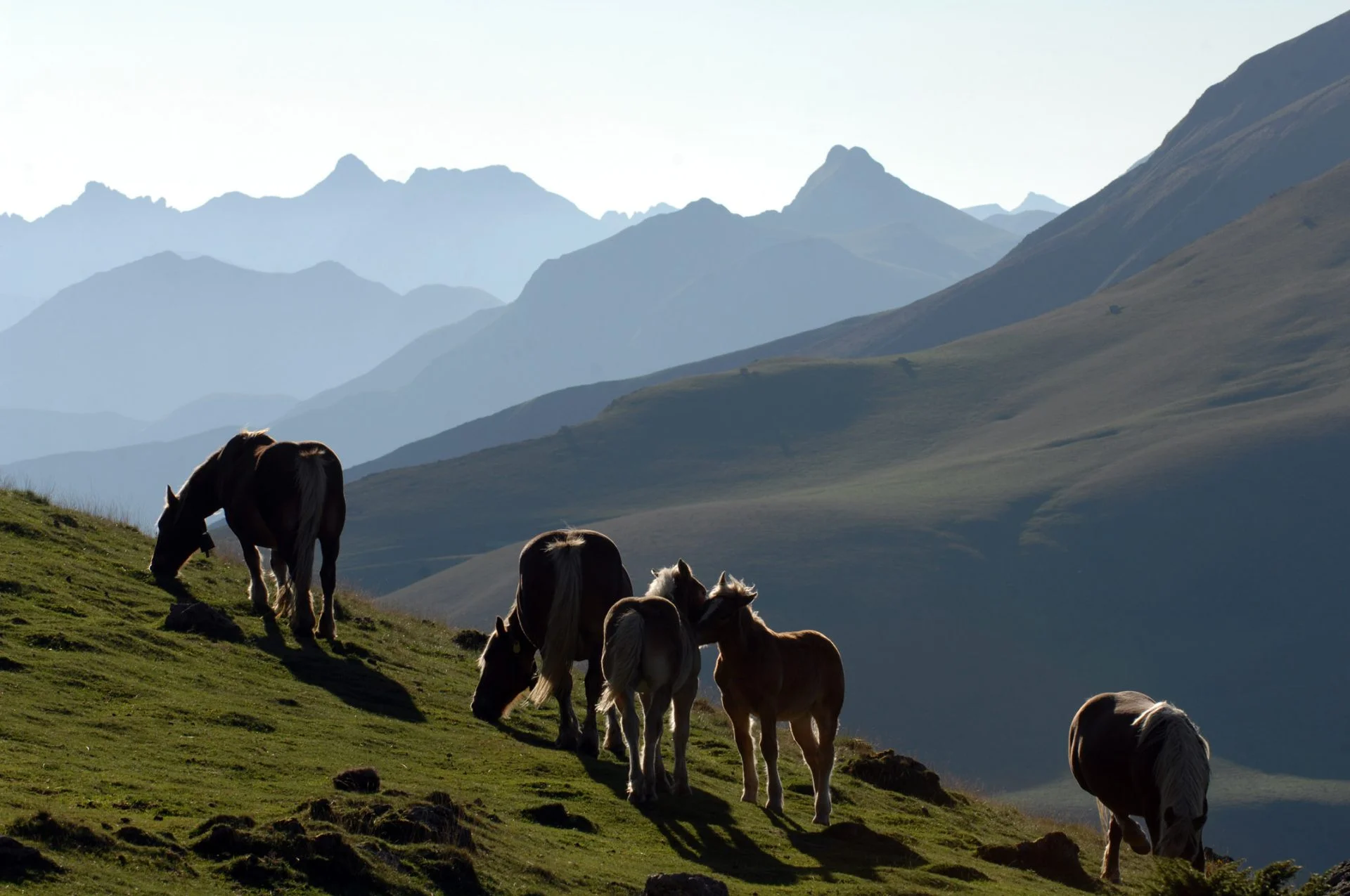 que faire en famille Pays Basque - activités sportives Pays Basque - réserver activités plein air