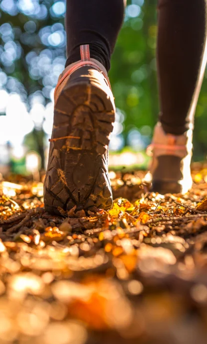 o Orientation : Enfants et parents en forêt avec carte et boussole, course fun